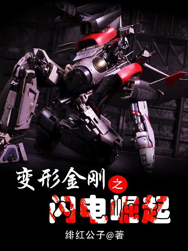 变形金刚之闪电崛起 变形金刚之闪电崛起